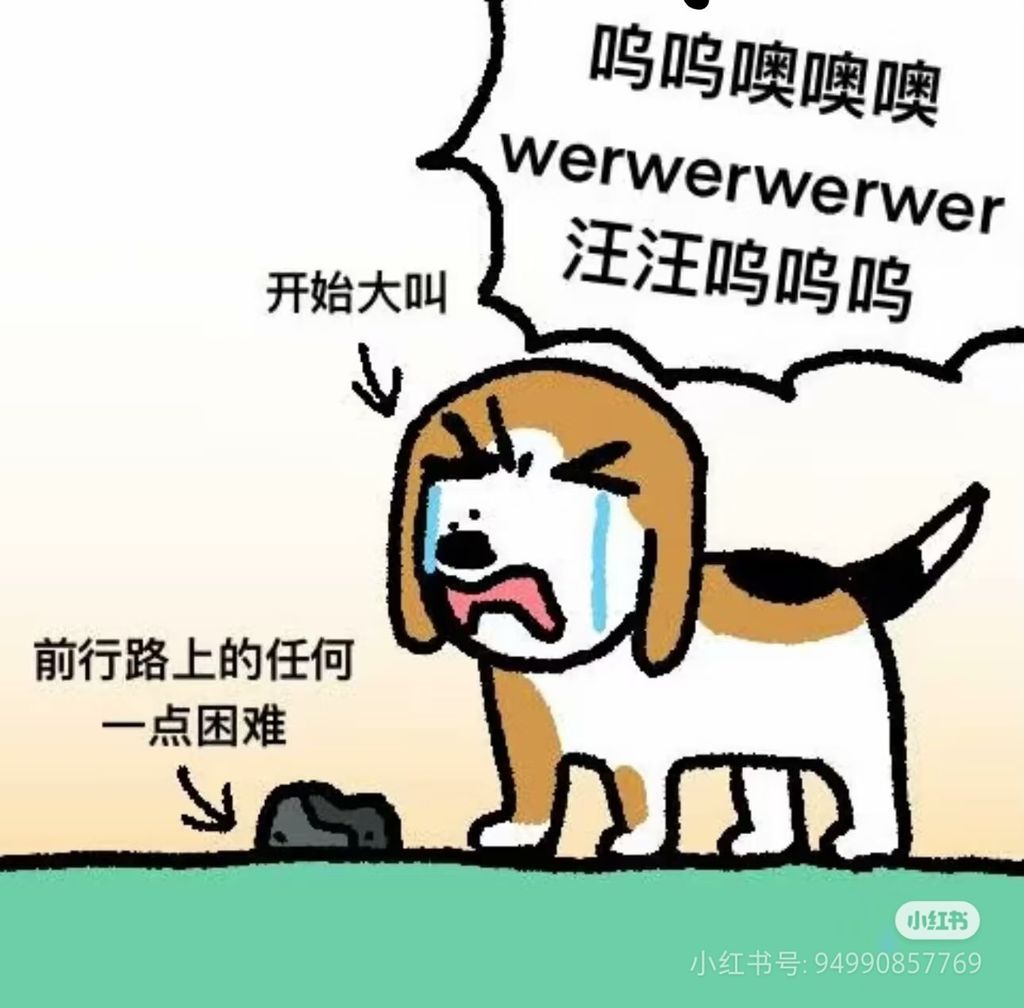 质量好高