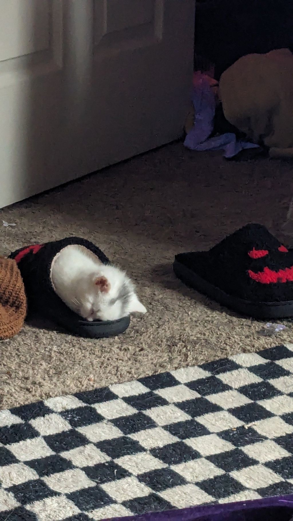 Beepbapboop