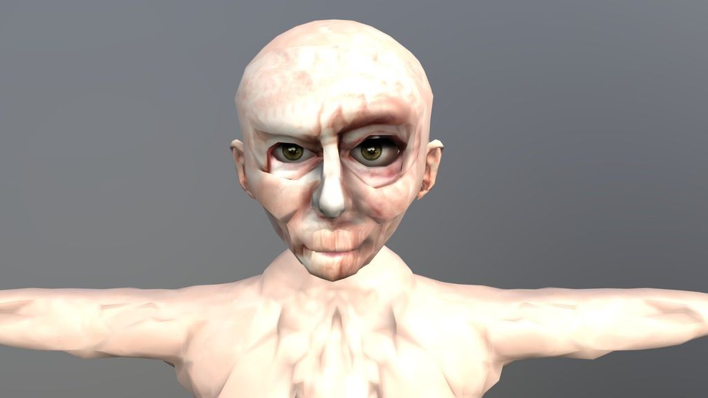 Lora Image
