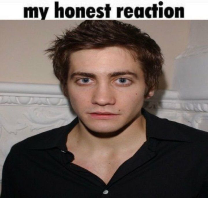 My Honest Reaction
