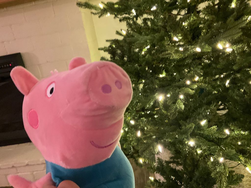 Peppa Pig Fan