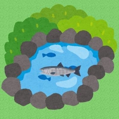 森の池のサーモン