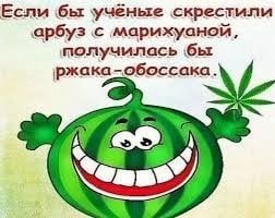 Мшк Фрэдэ