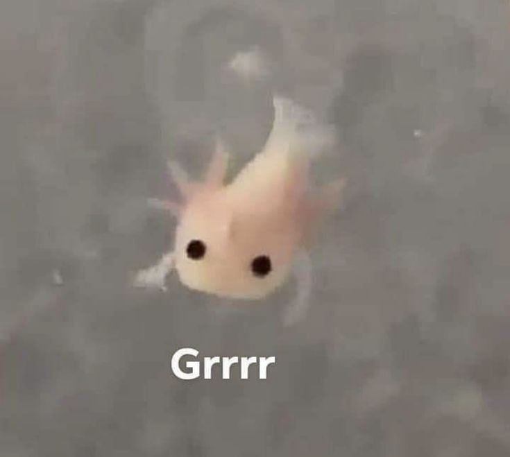 si