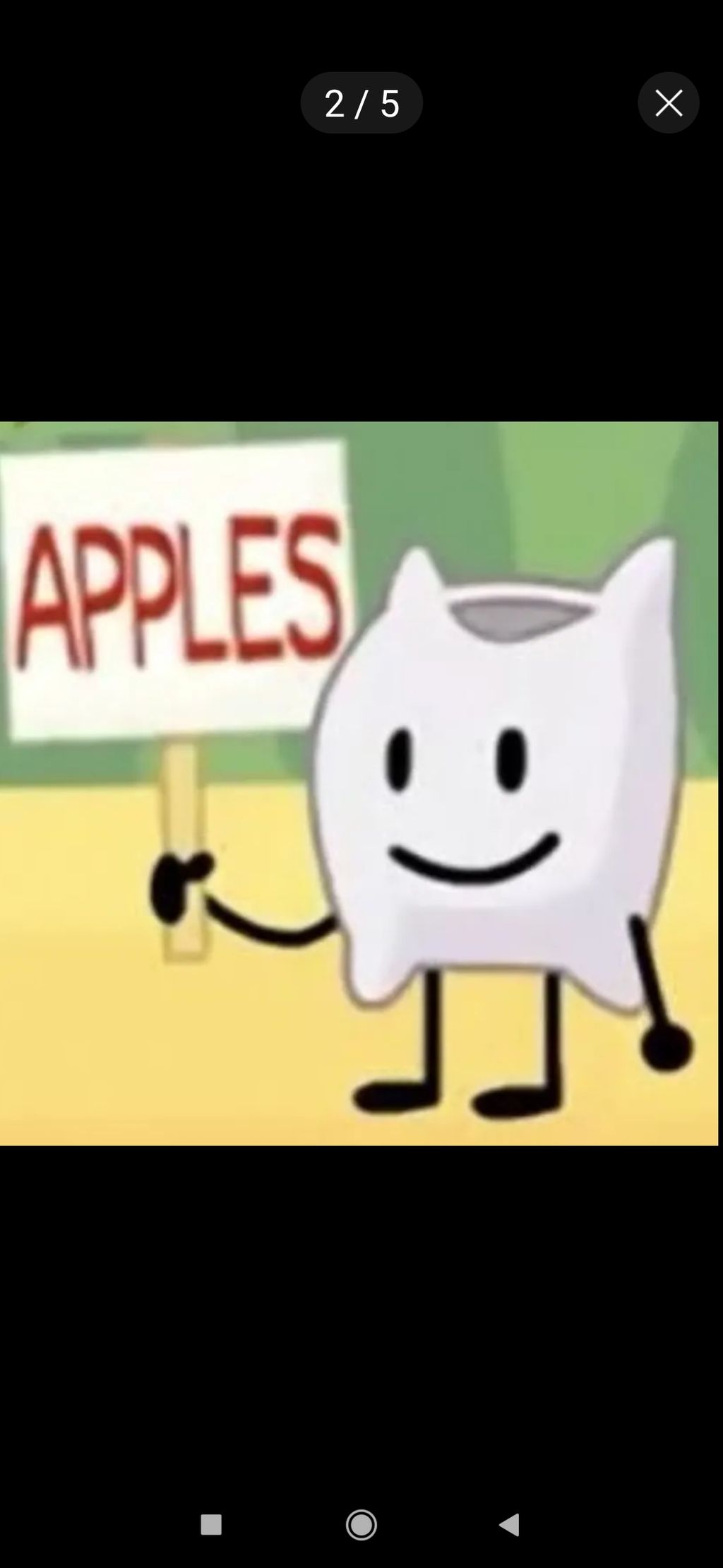Apples
