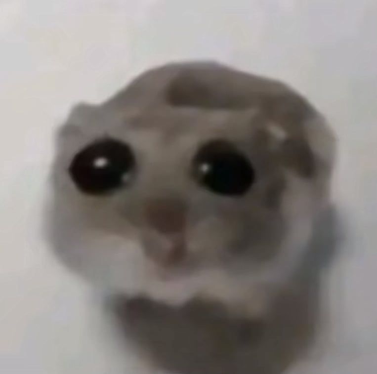 Conejo