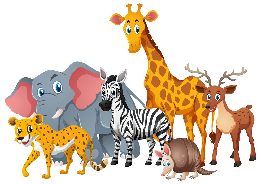 Animals
