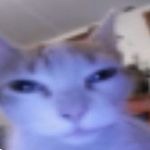 yyu