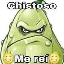 Apisonaflor
