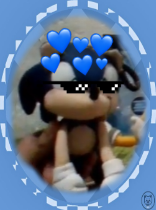 .sonicthedgehog.