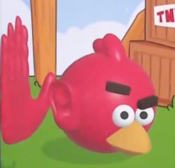 agy bird