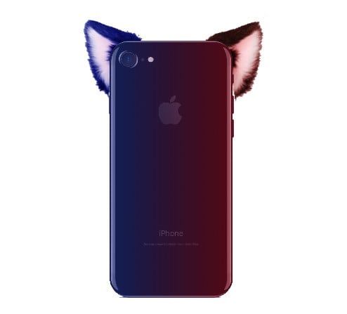 Stupid cat eared idiot