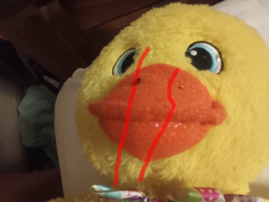 Duckys (Collection)
