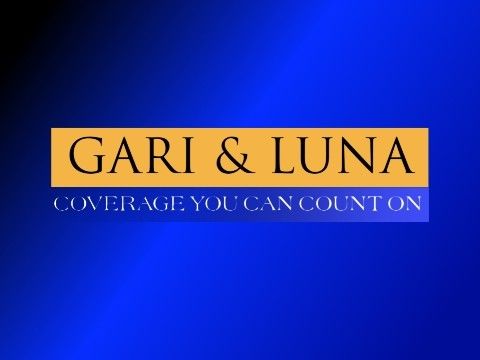 Let's Go Luna Voice Actor Team