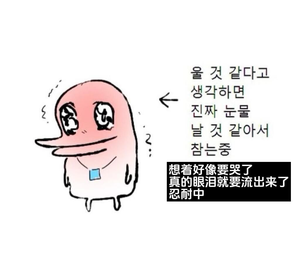 mt