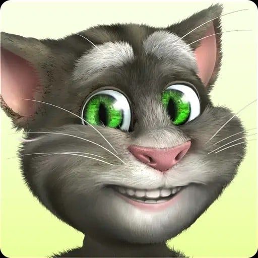 Lora Image