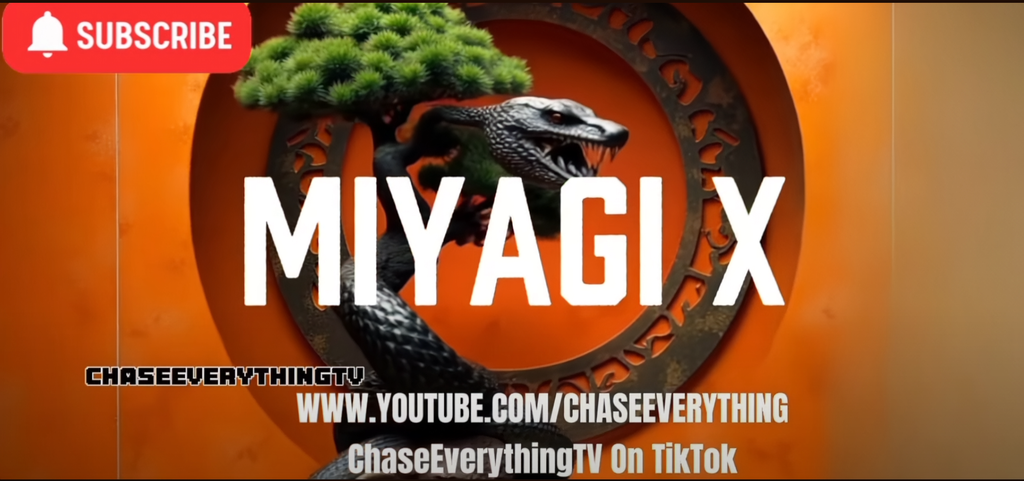 MIYAGI X