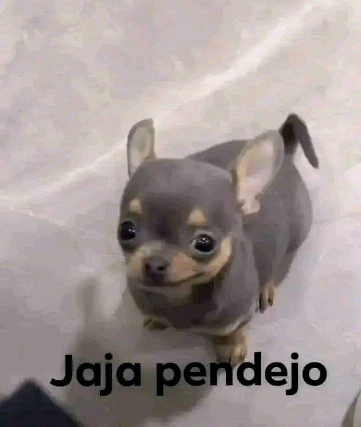 Aishite