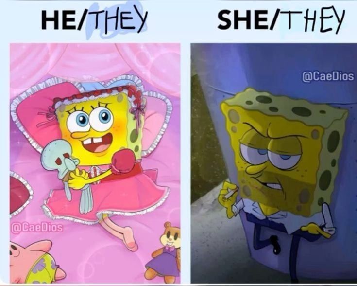 ppg shit