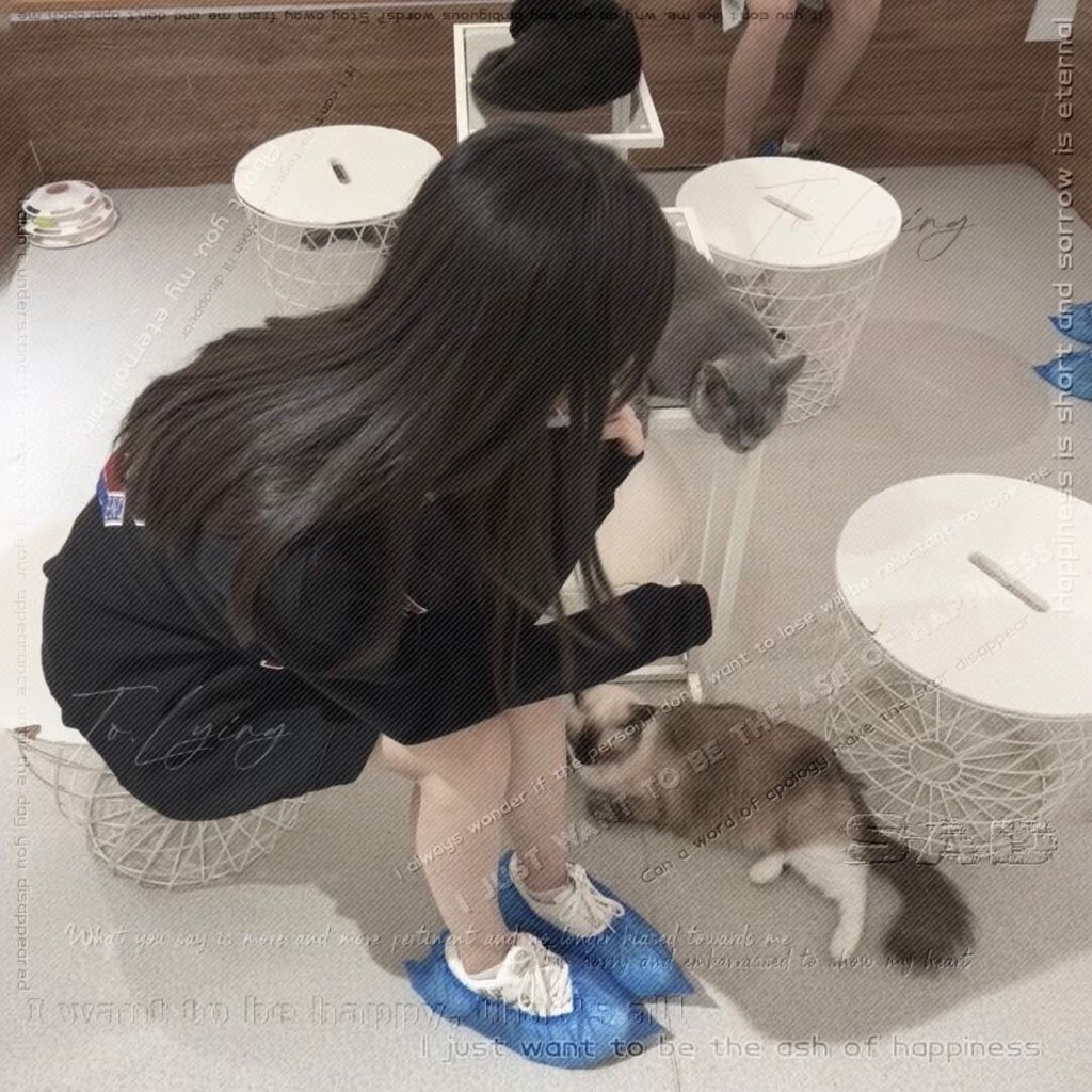 椿然薄巧菌