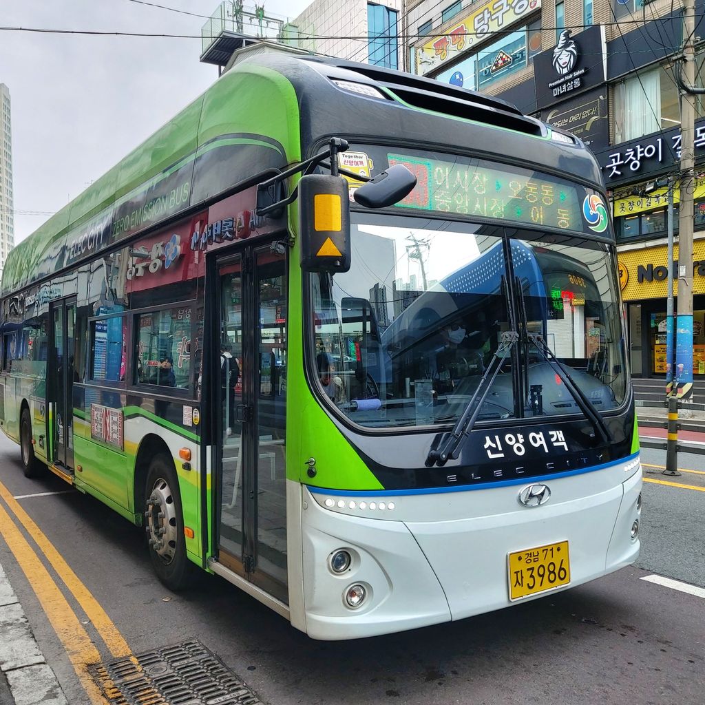 신양머스캣 (Shinyang Muscat)