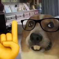 Testing