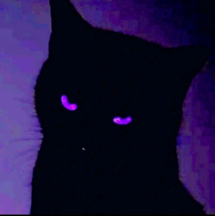 xxmegandarknessxx