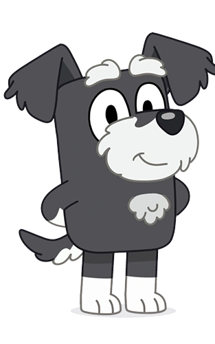 Black Terrier(Bluey)
