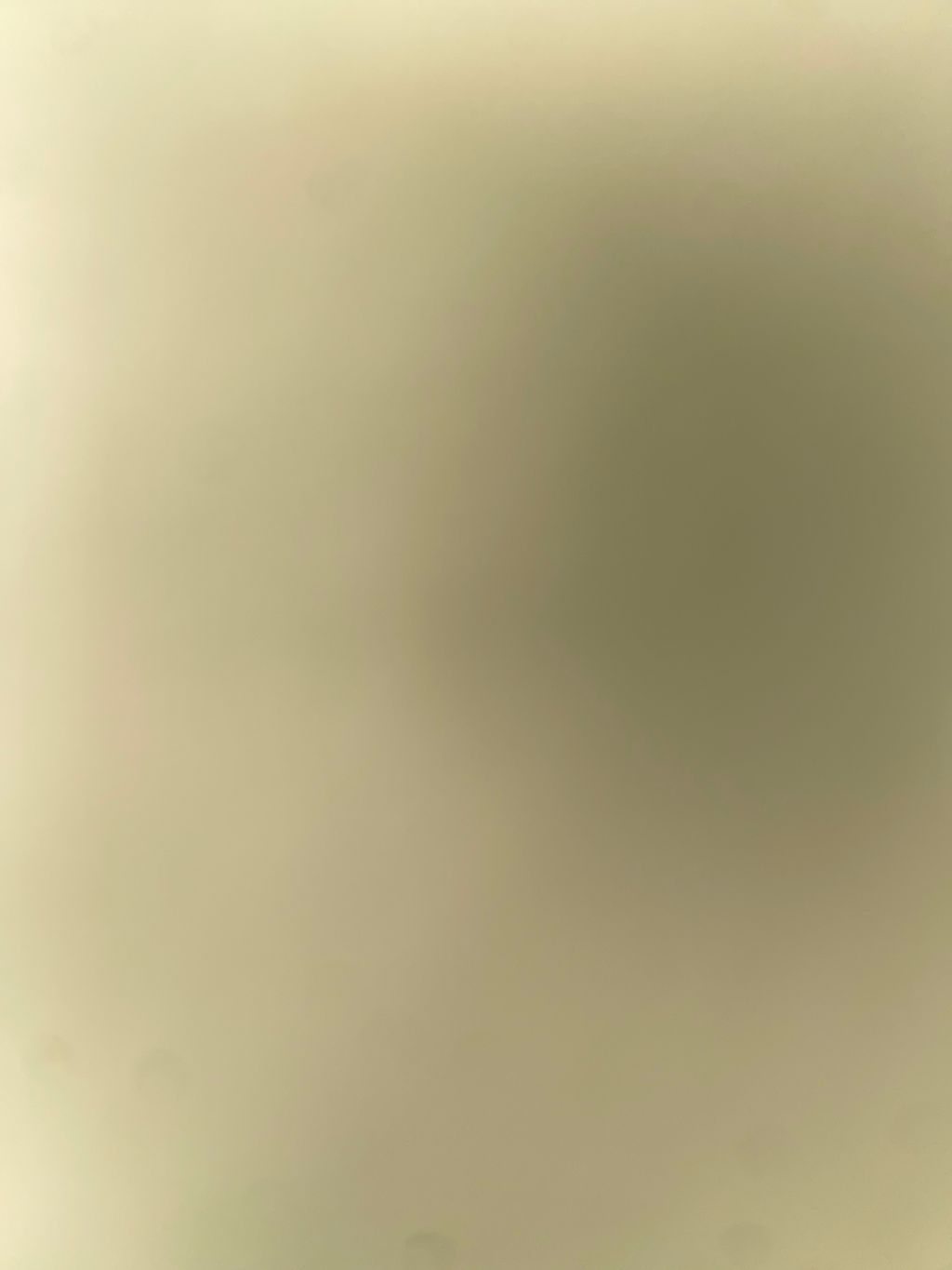 Janet 1