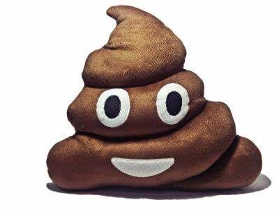 poop song