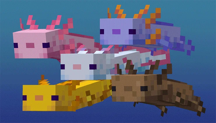 Axolotl (Minecraft)