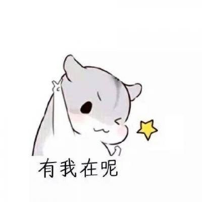 邓zq