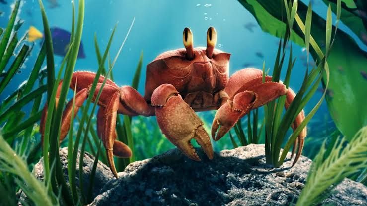 Sebastian (Daveed Diggs, Disney The Little Mermaid 2023)