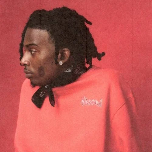 Playboi Carti (Perky97) SONICFAN926200