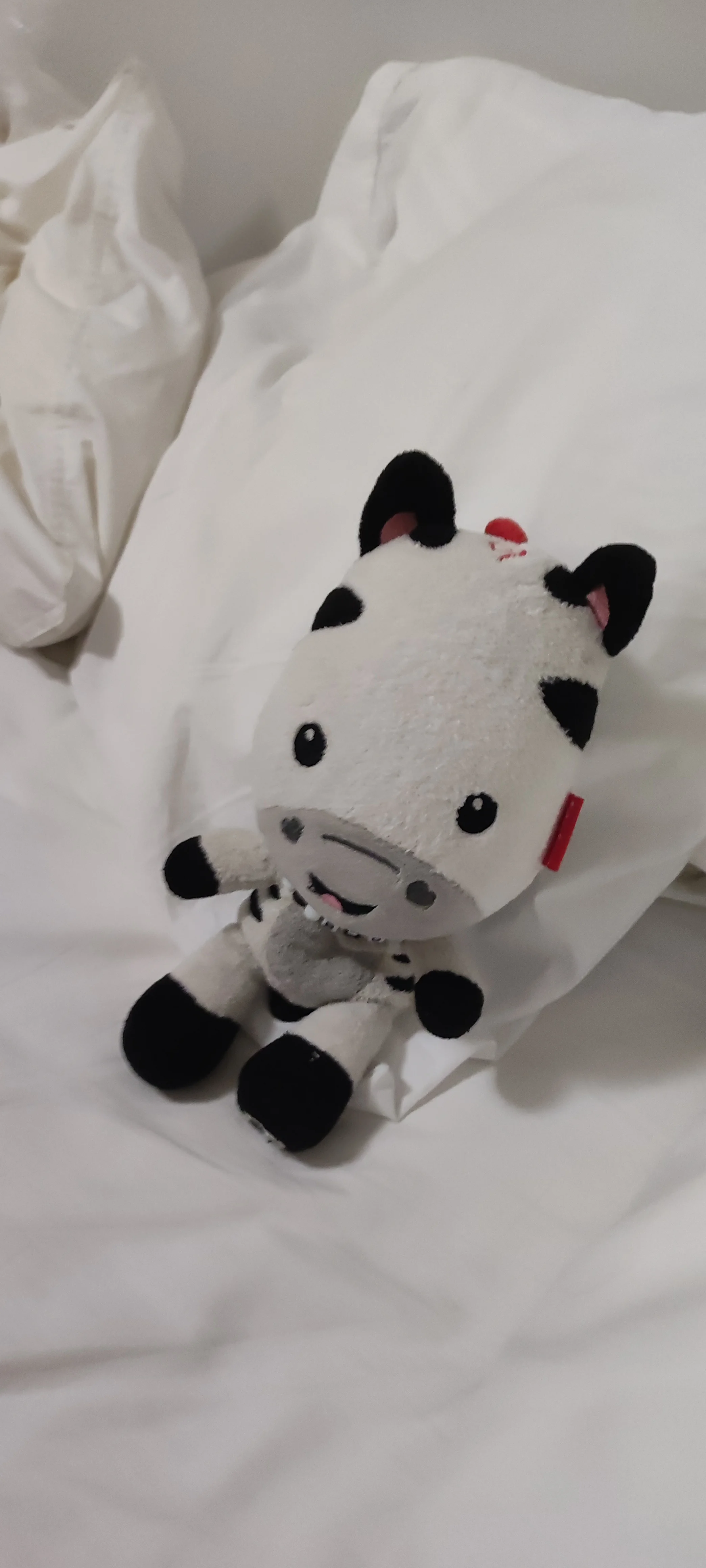 Baby clon🦓