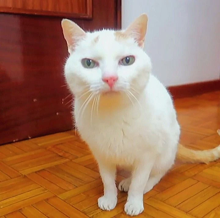 El Nublado (Wine XD)
