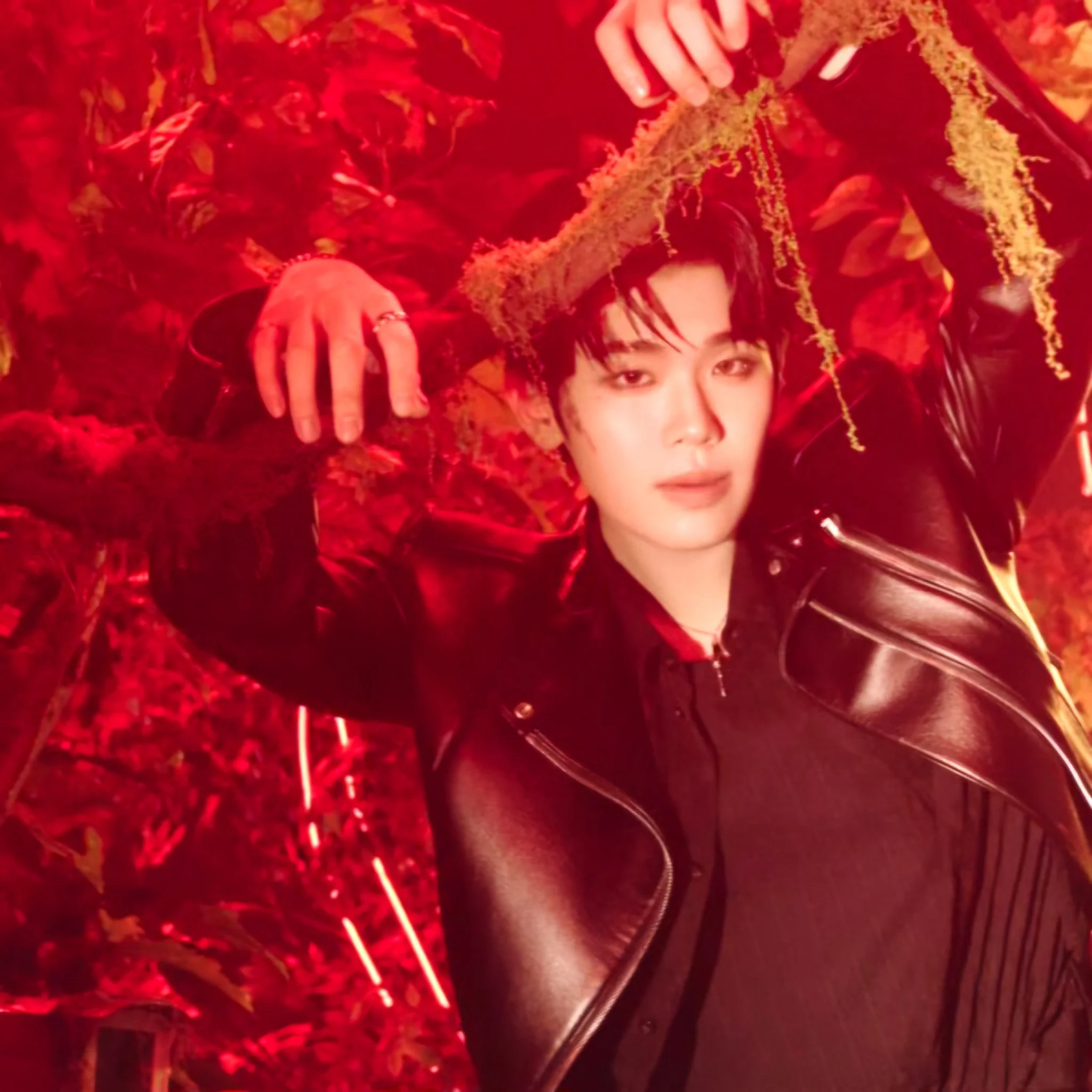 Kim Taerae (ZEROBASEONE) 김태래 (제로베이스원) 2025