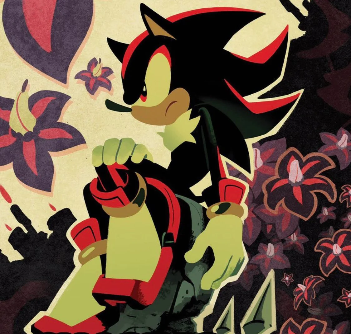 Shadow the Hedgehog (Fr, Benoît du Pac)
