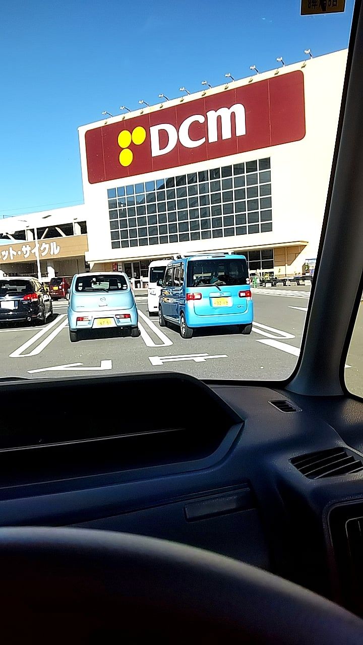 途中みたいな