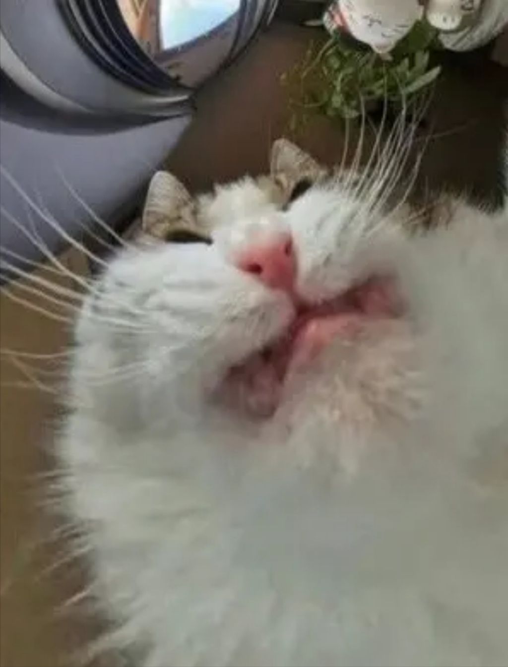 作った声