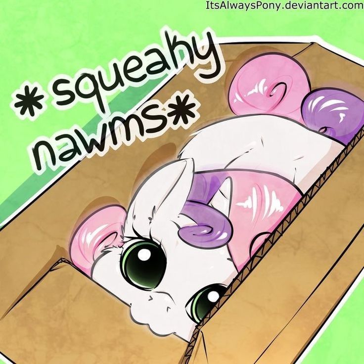 Mlp