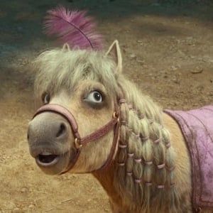 Miniature Horse (Leo)