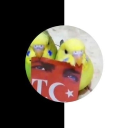 eraytokac5