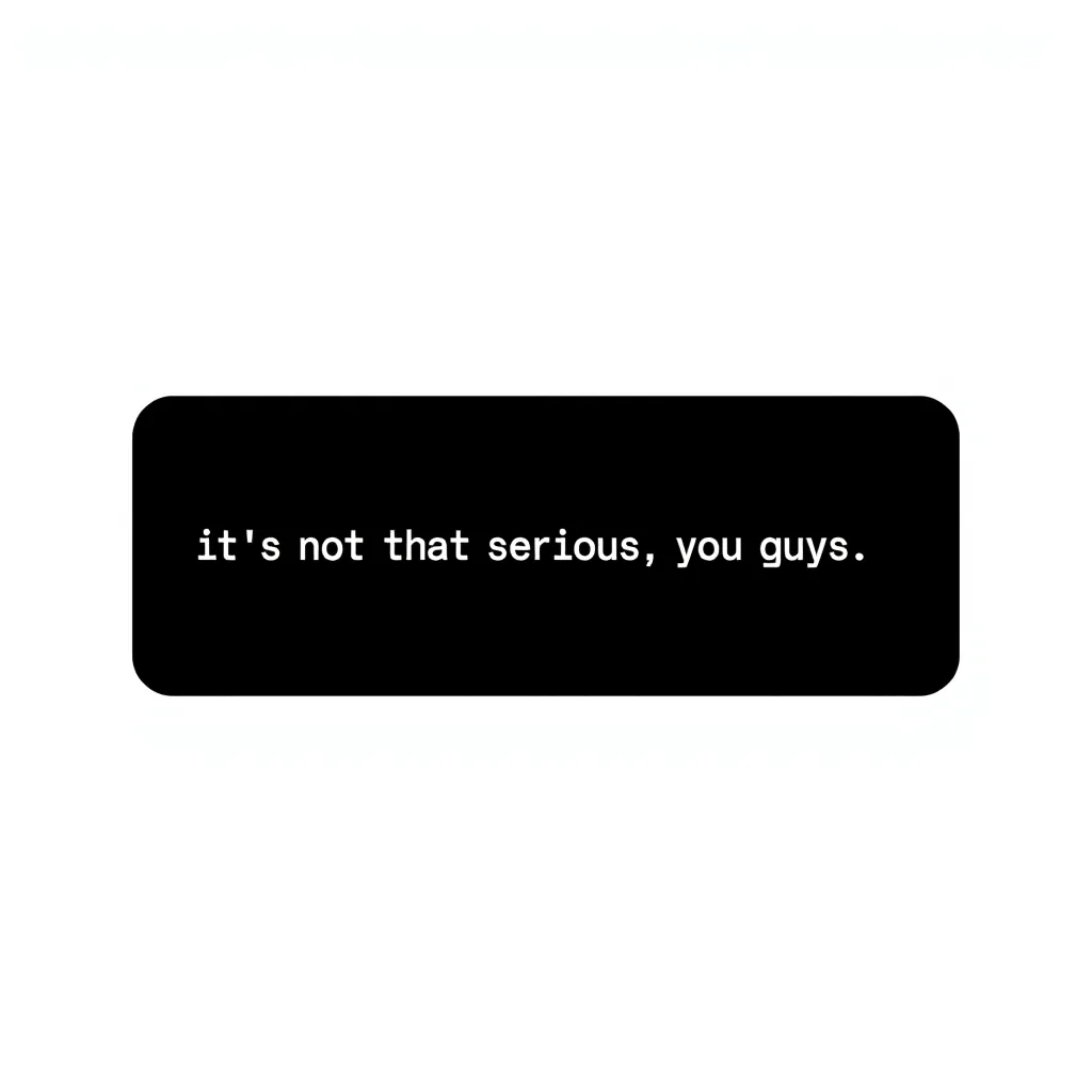 A black rectangle with rounded corners featuring the word "it’s not that serious, you guys." in lowercase white letters centered on it. The background is plain white.