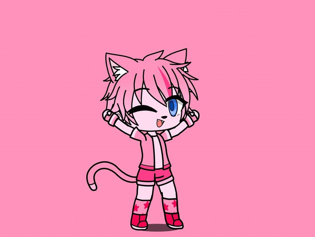 The Puffball Friends 2D Style