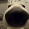 sdggdsgsafaddsafsd ggsfsfsffdasfdsa