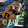 Linceproducciones