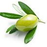 Olive Meister
