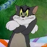 Mèo tom