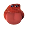 shahboby